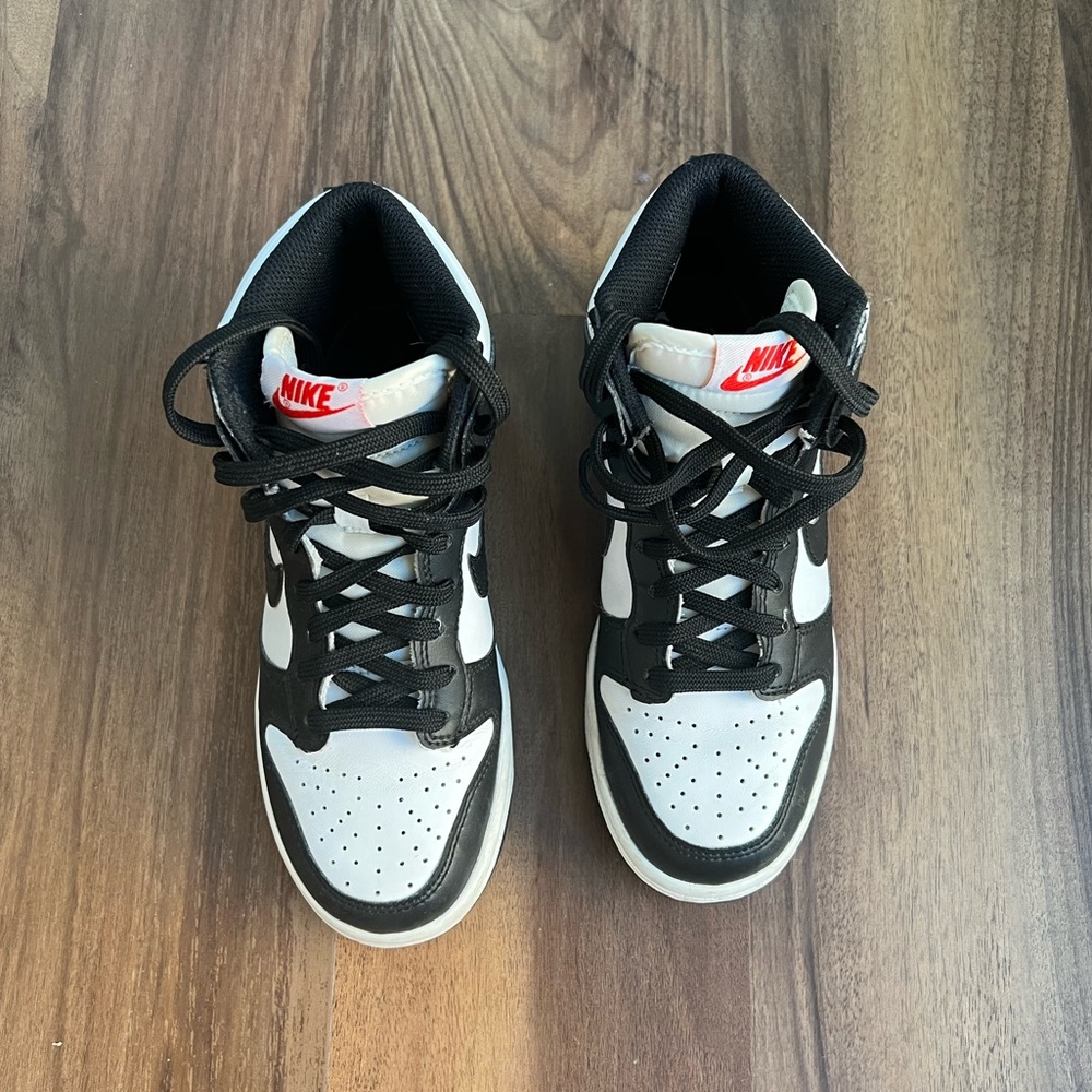 Panda Dunks hightop